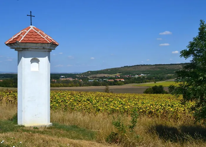 Apart-hotel S Klimatizací - U Kudláčků Pouzdřany 3*